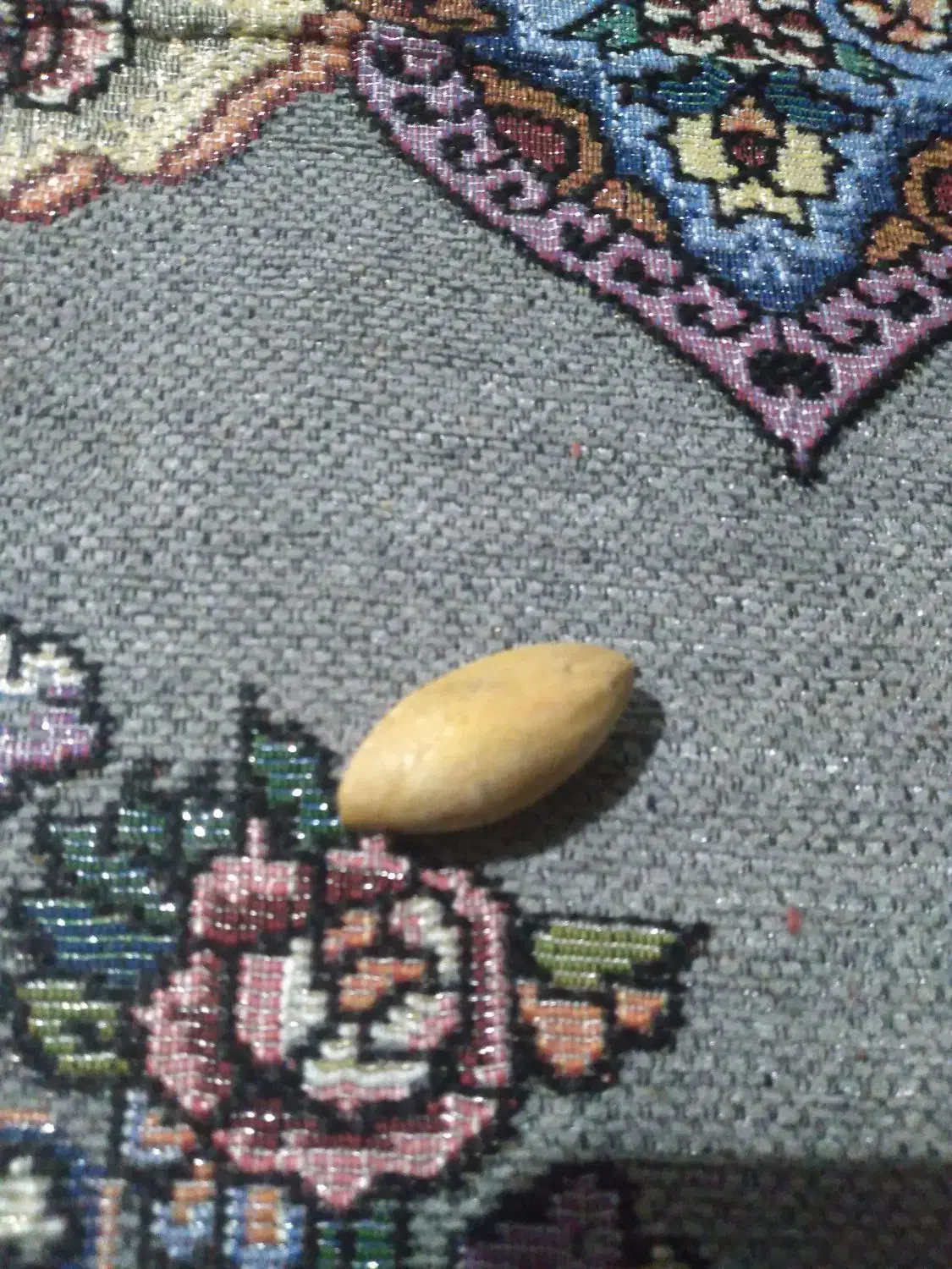 مهره|کلکسیون اشیاء عتیقه|تاتار علیا, |دیوار