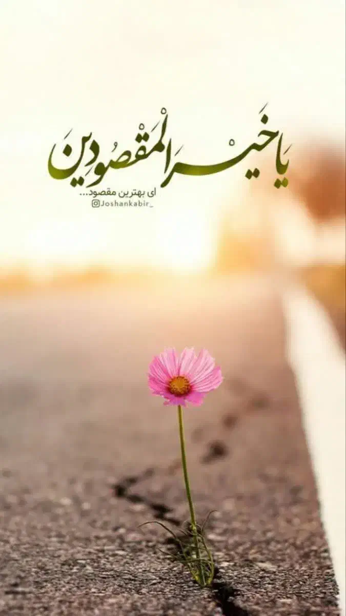 سرویس مدارس|خدمات حمل و نقل|نهاوند, |دیوار
