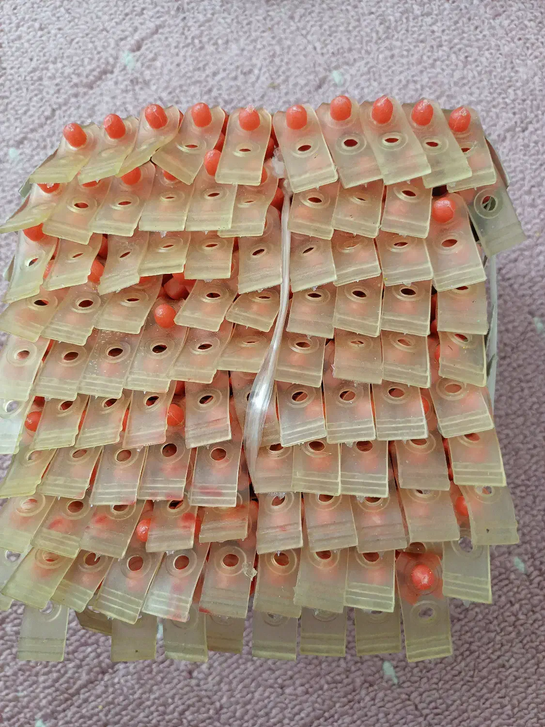 بیگودی فر|آرایشی، بهداشتی، درمانی|مشهد, شهرآرا|دیوار