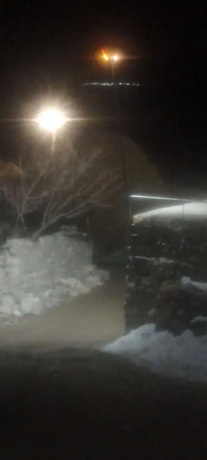 فروش1500علف و 180یونجه|لوازم جانبی حیوانات|صومای برادوست, |دیوار