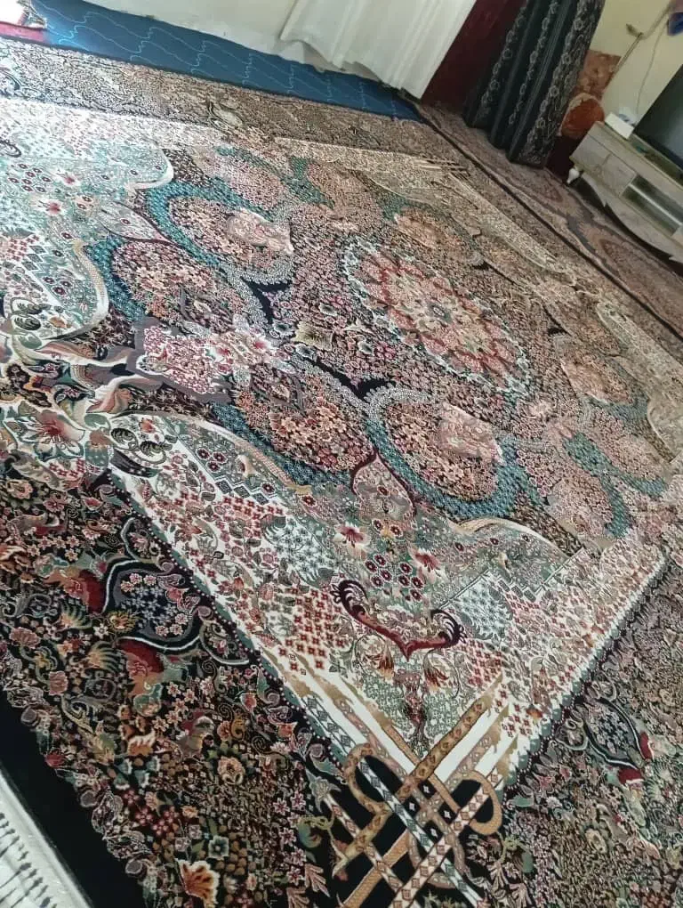 قالی ۱۲ متری|فرش|گرگان, |دیوار