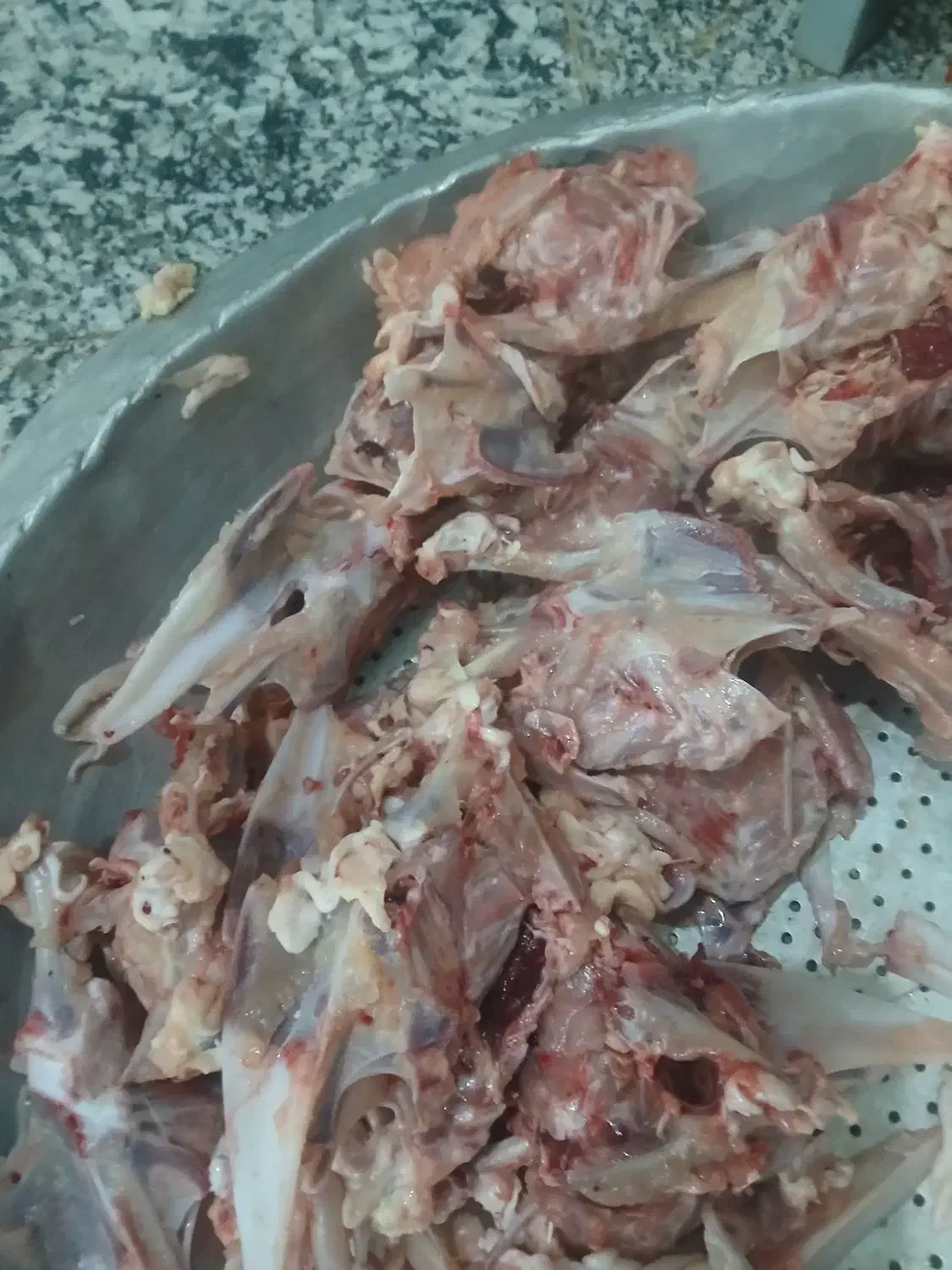 خوراک|لوازم جانبی حیوانات|نیشابور, بنیاد شهید|دیوار