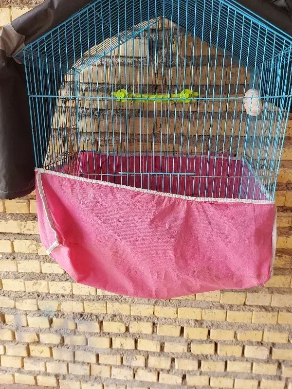 پارچه|رختخواب، بالش، پتو|دهلران, |دیوار