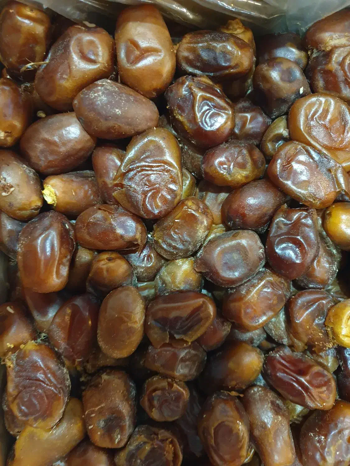 خرما ارزون|حراج|مشهد, سپاد|دیوار