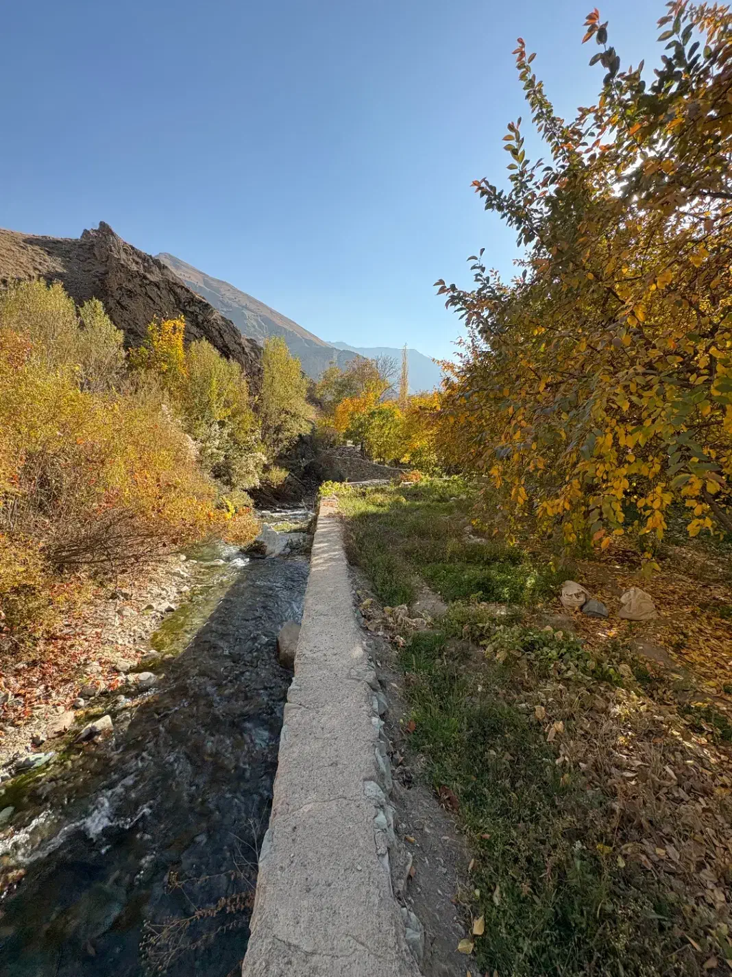 زمین کنار رودخانه مناسب ساخت ویلا|فروش زمین و ملک کلنگی|آسارا, |دیوار