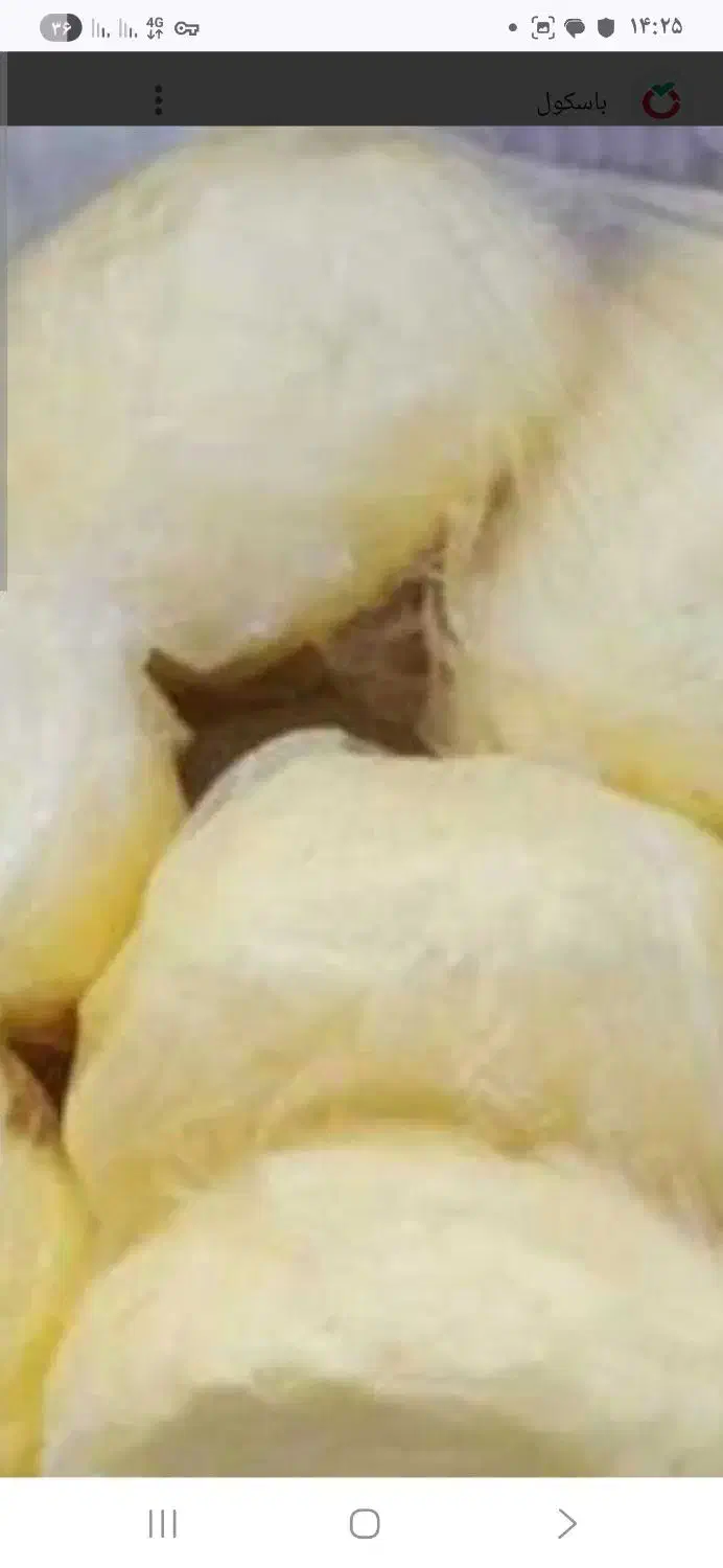 کره تازه و خوشمزه گاوی|خوردنی و آشامیدنی|ویلکیج, |دیوار