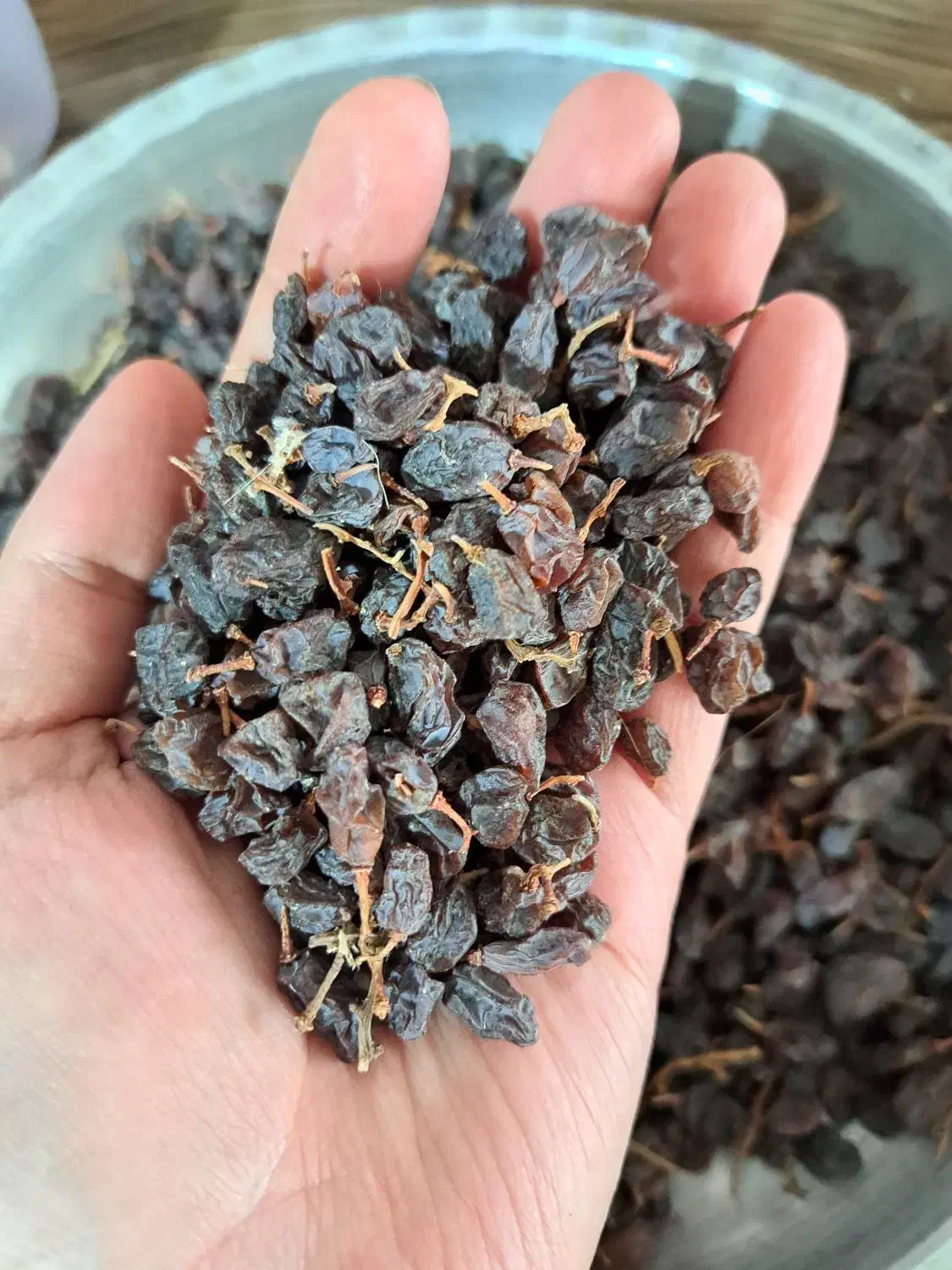 کشمش آفتابی|خوردنی و آشامیدنی|مشکین‌دشت, |دیوار