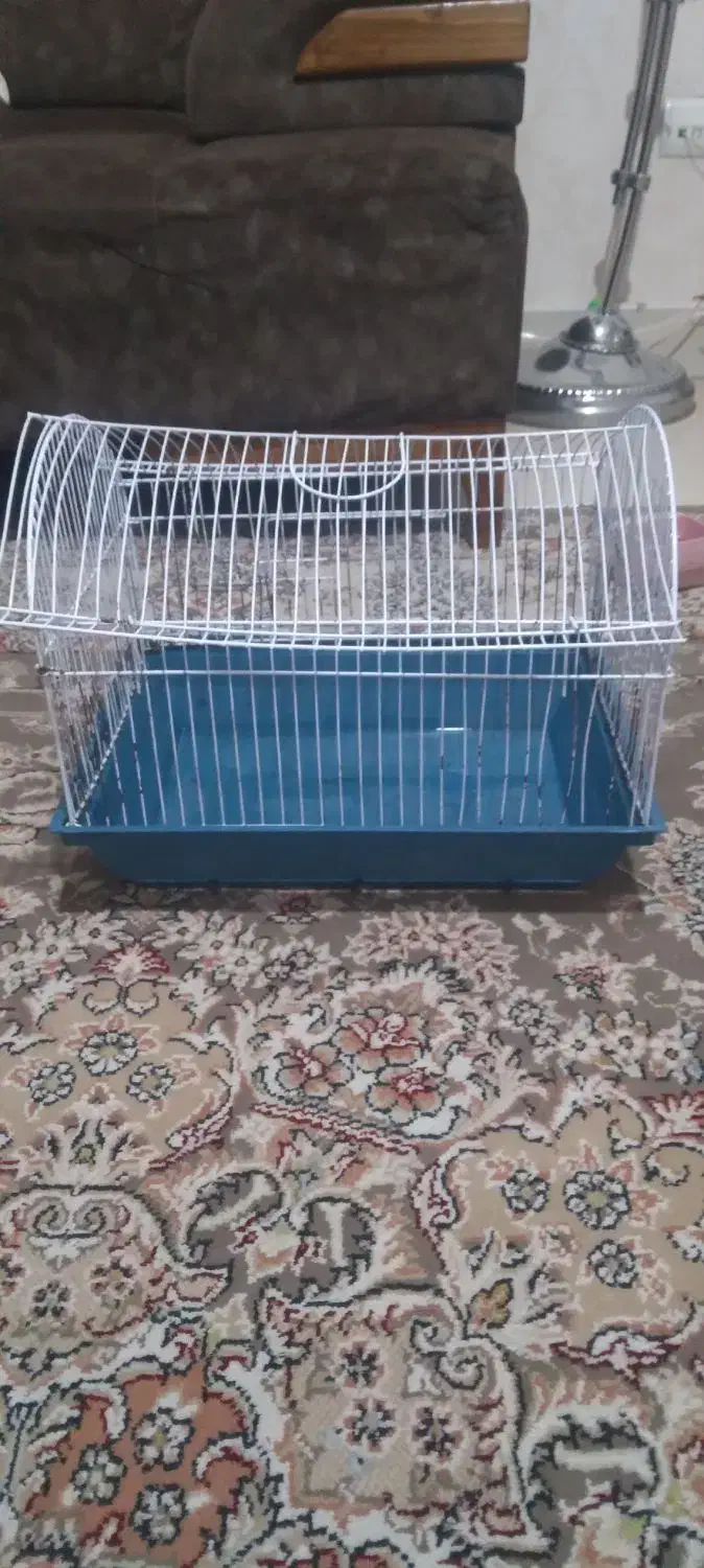 قفس فلزی|لوازم جانبی حیوانات|رباطکریم, مسکن مهر آبشناسان|دیوار