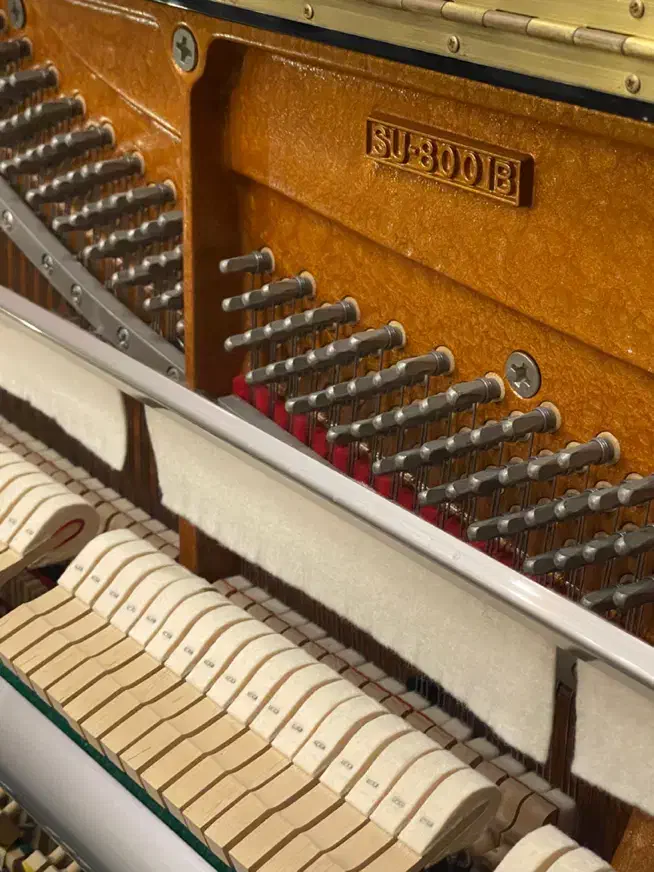 پیانو اکوستیک سمیک su800|پیانو، کیبورد، آکاردئون|تهران, نارمک|دیوار