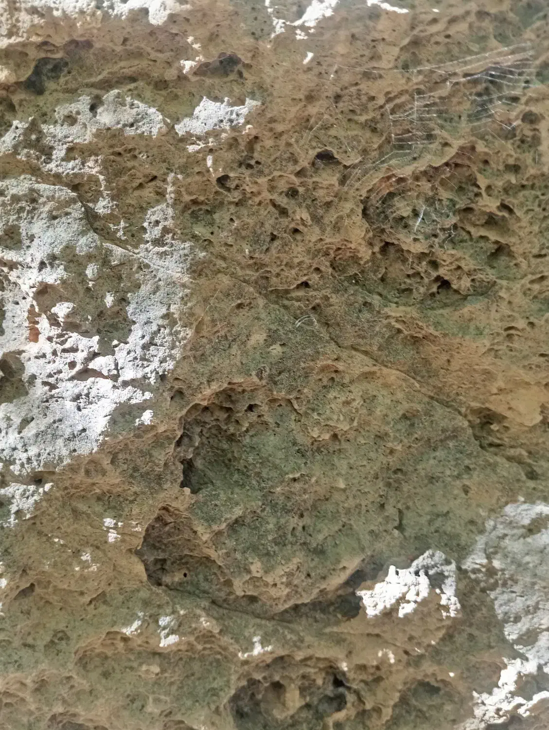 نیاز مند کار|فعالیت داوطلبانه|داراب, |دیوار