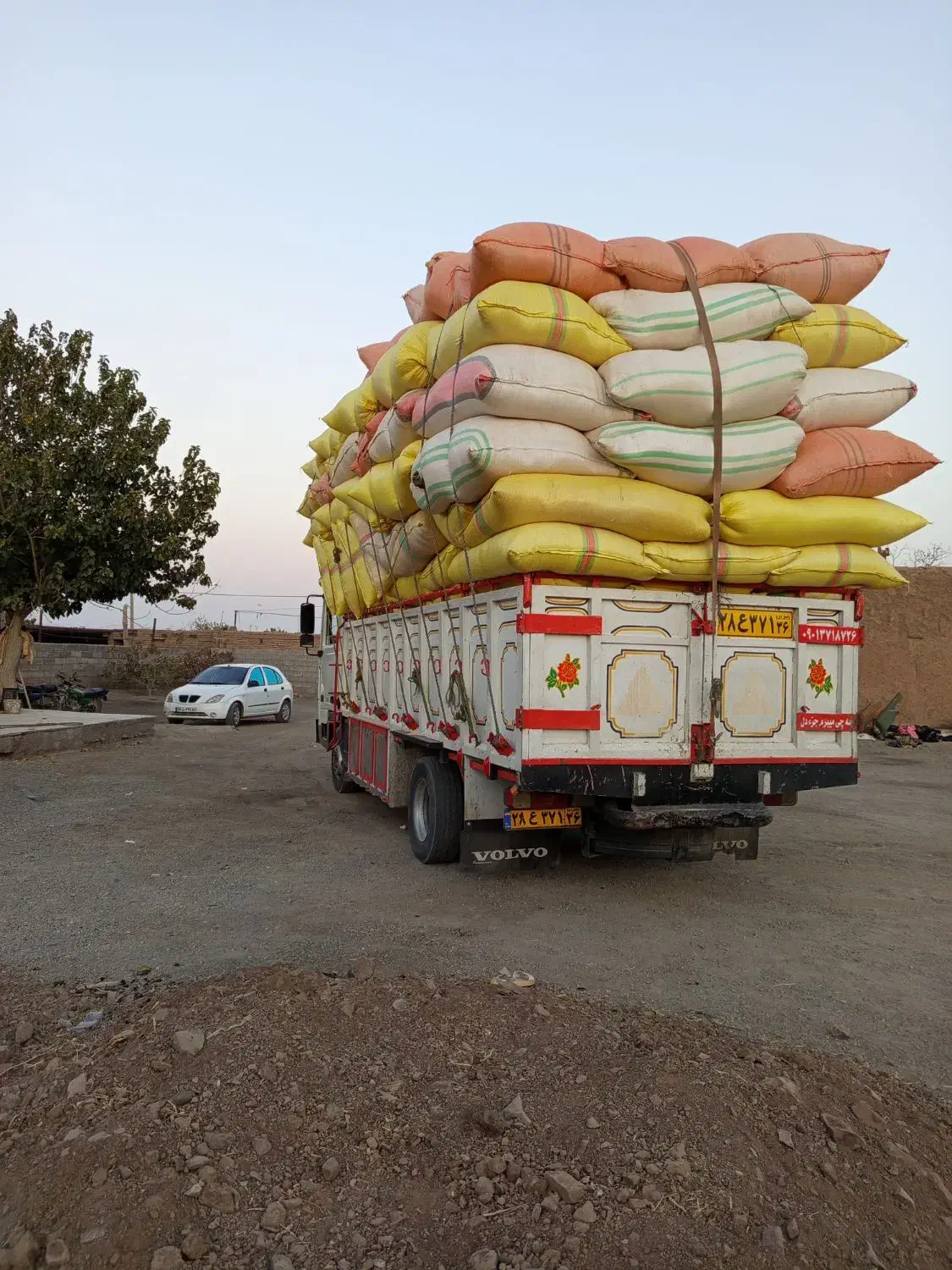 فروش کاه و پرس|عمدهفروشی|سبزوار, قصبه غربی|دیوار