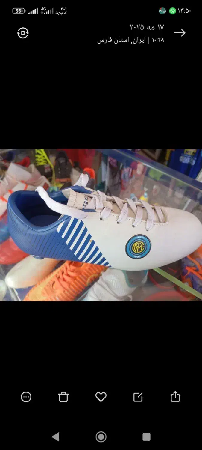 فروش کفش|کیف، کفش، کمربند|فیروزآباد (فارس), |دیوار