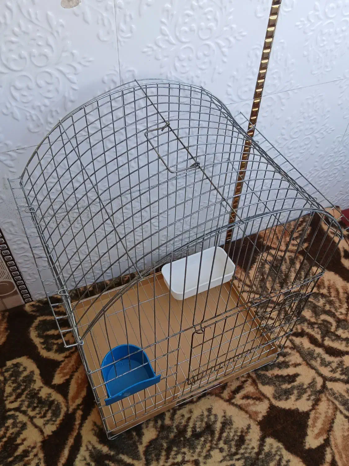 قفس پرنده عروس هلندی وسره بفروش میرسد|لوازم جانبی حیوانات|مشکیندشت, |دیوار
