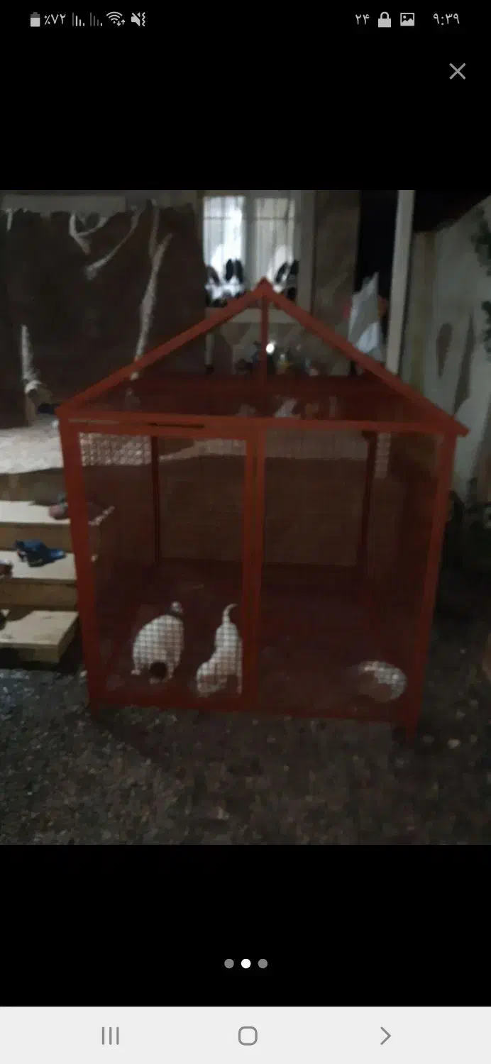 لونه سگ یا لونه مرغ بزرگ|لوازم جانبی حیوانات|رشت, آب آسیاب|دیوار