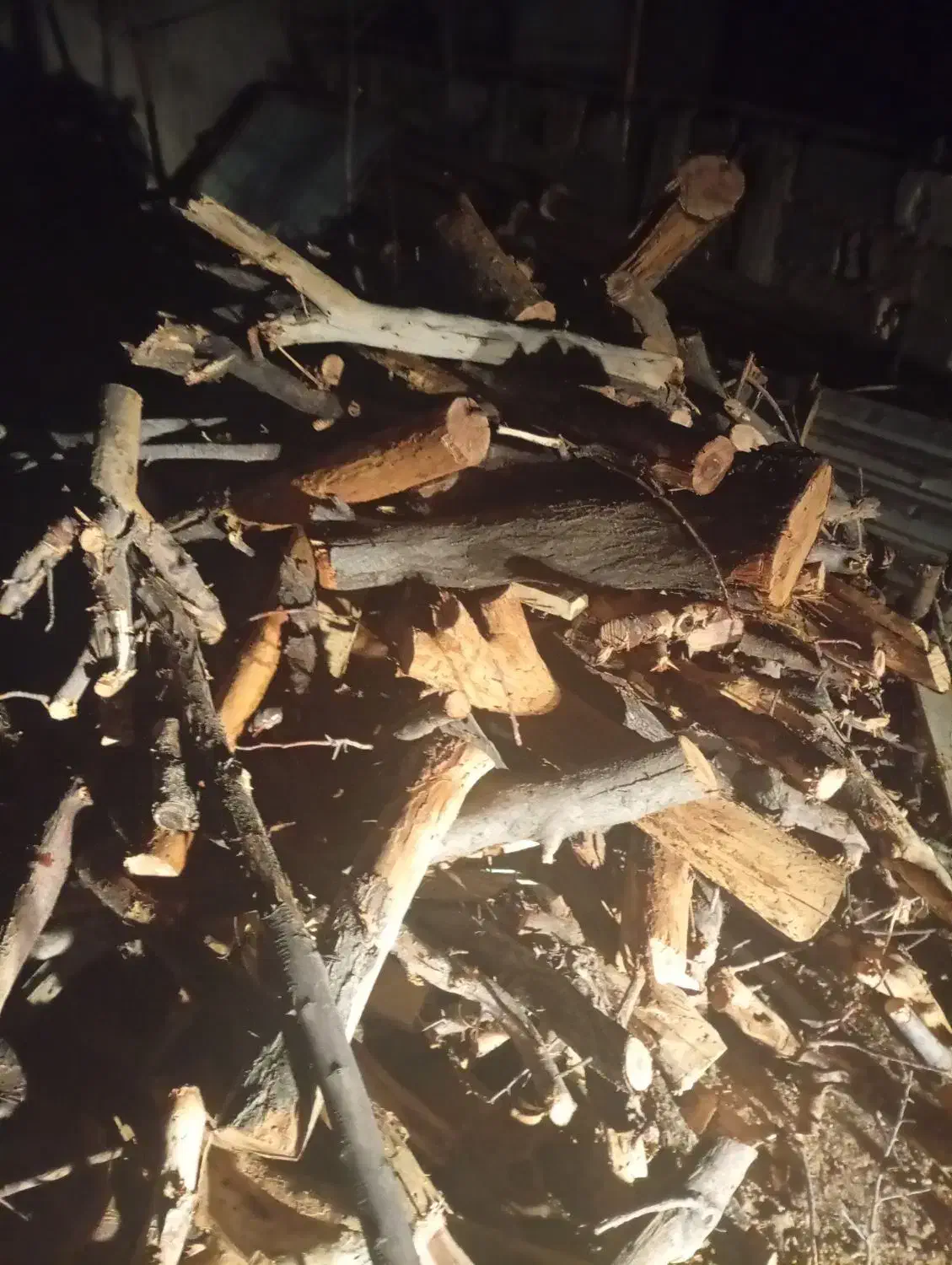 فروش چوب ذغالی تروخشک|خدمات باغبانی و درختکاری|کبودرآهنگ, |دیوار