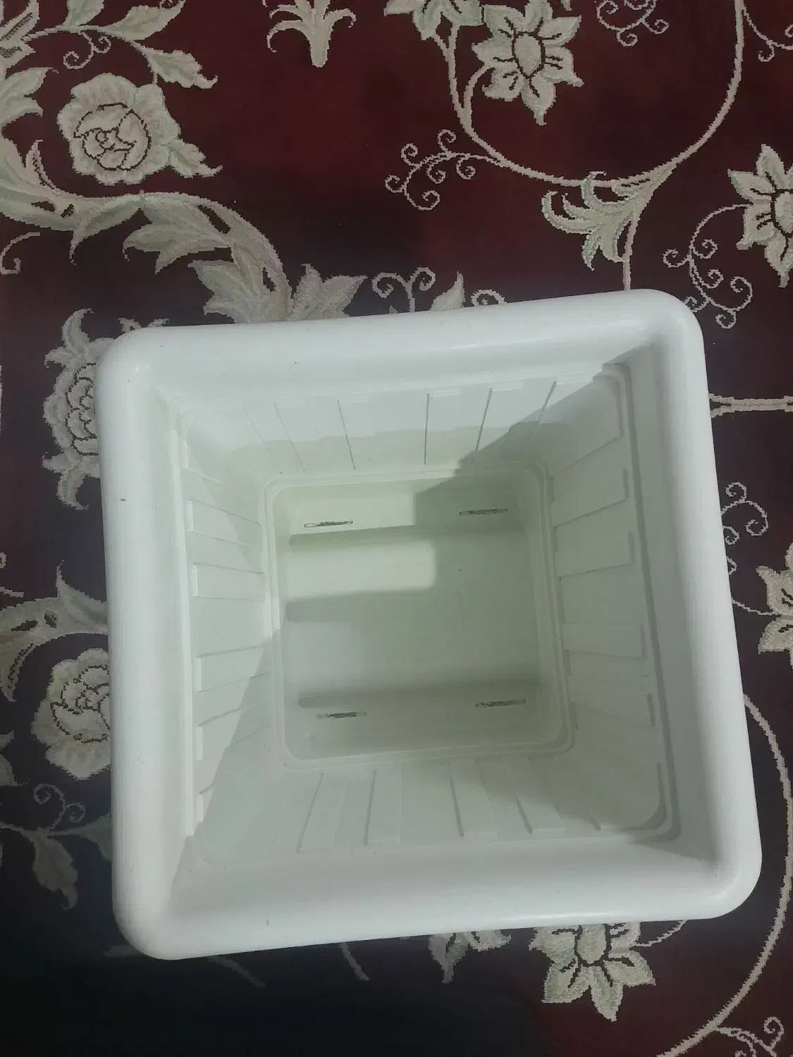 گ.ل.د.ا.ن|گل و گیاه طبیعی|نیشابور, سرآب کوشک|دیوار