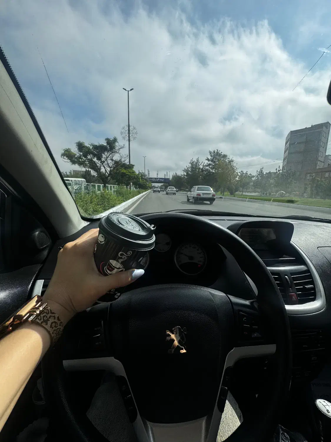 207 دنده ای ۹۶|خودرو سواری و وانت|بندرعباس, |دیوار