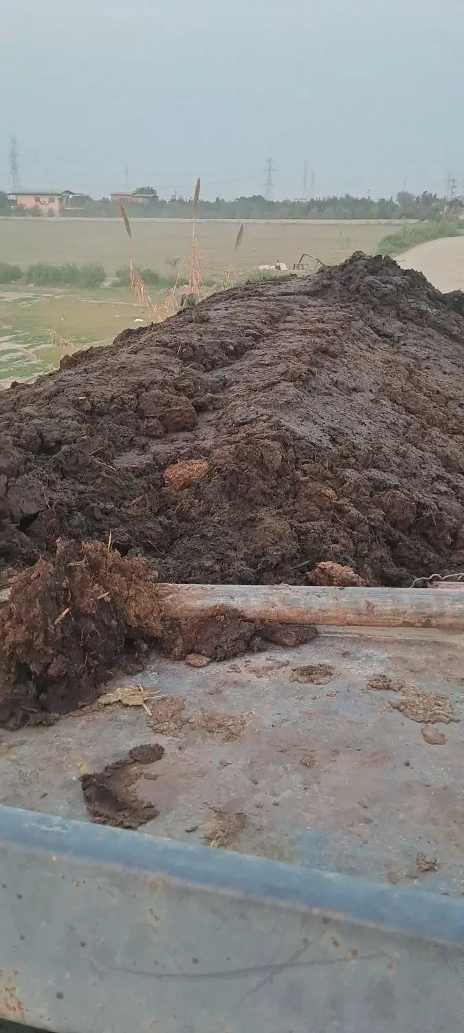 فروش کود گاوی|خدمات باغبانی و درختکاری|گرگان, |دیوار