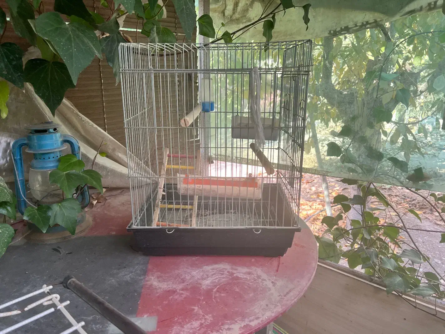 قفس و پایه|لوازم جانبی حیوانات|کرج, شهرک بنفشه|دیوار