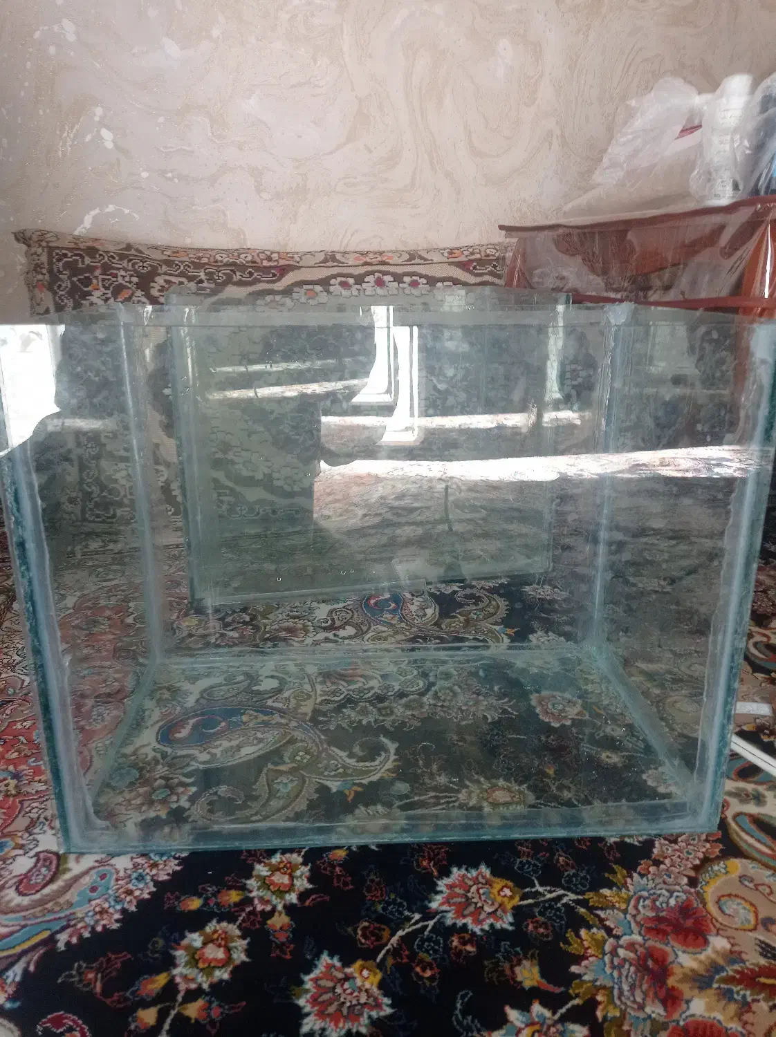 اکواریوم ماهی|ماهی|تربتحیدریه, سرمحله|دیوار