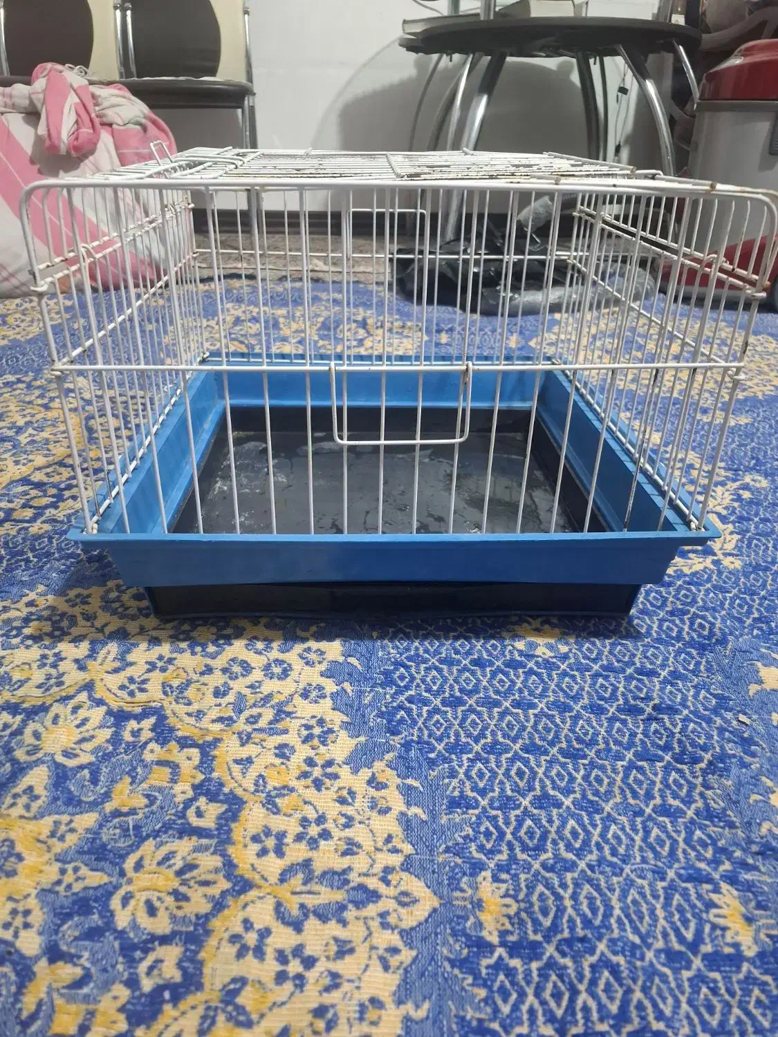 قفس مناسب خرگوش گربه سنجاب سگ کوچک مسافرتی|لوازم جانبی حیوانات|کرمان, |دیوار