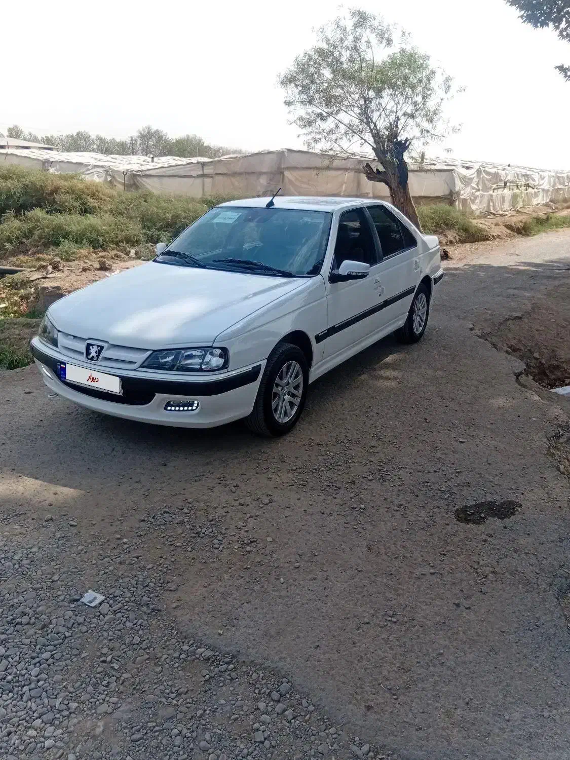 پژو پارس مدل ۱۴۰۳ سفارشی فول ELXبدون رنگ بدون نقطه|خودرو سواری و وانت|پاکدشت, پاکدشت (مامازند)|دیوار