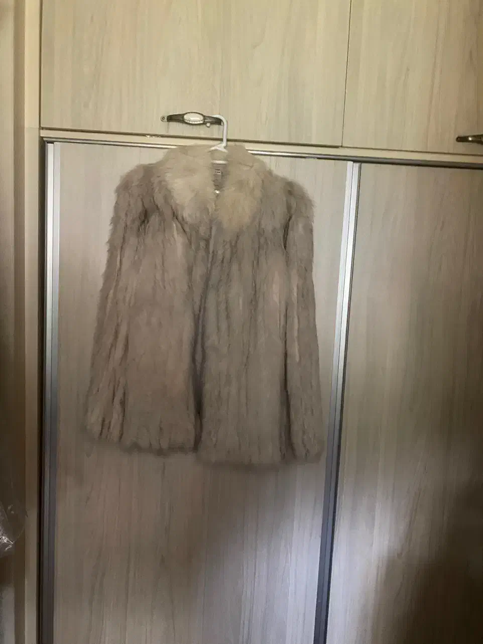 پالتو پوست|لباس|بندر انزلی, سپیدکنار|دیوار