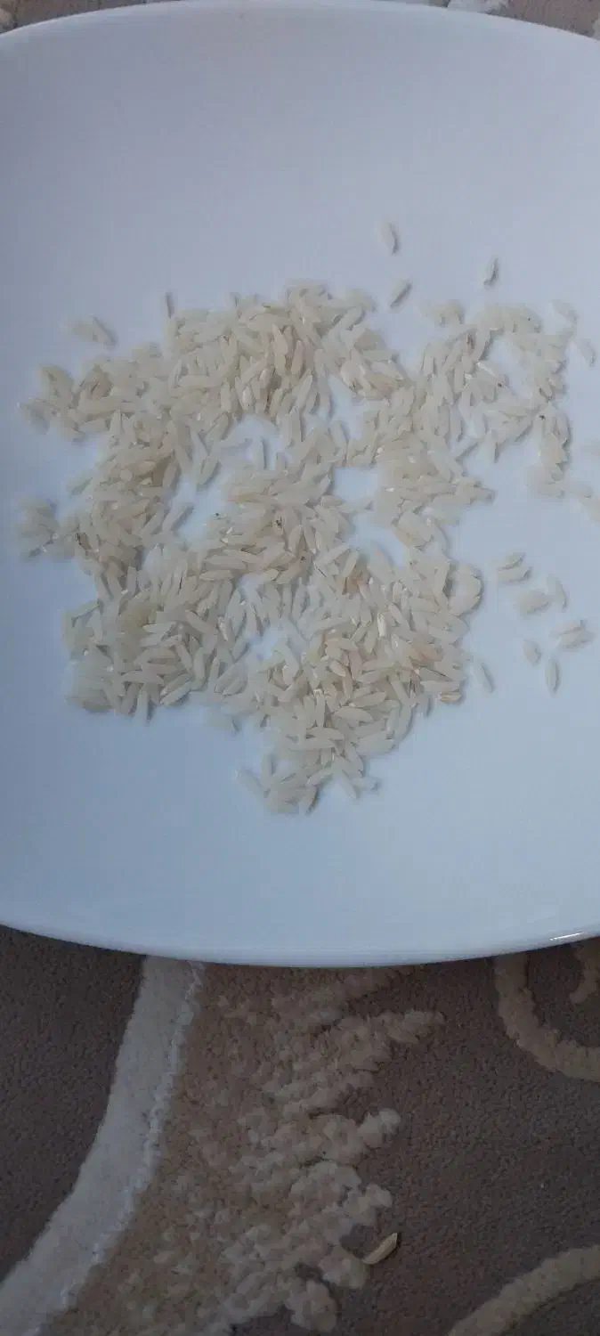 برنج طارم معطر هاشمی|عمده‌فروشی|مینودشت, |دیوار