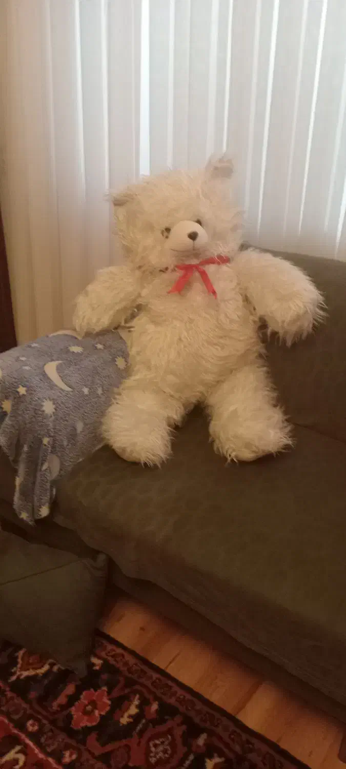 خرس  سایزنود|اسباب‌‌بازی|تبریز, |دیوار