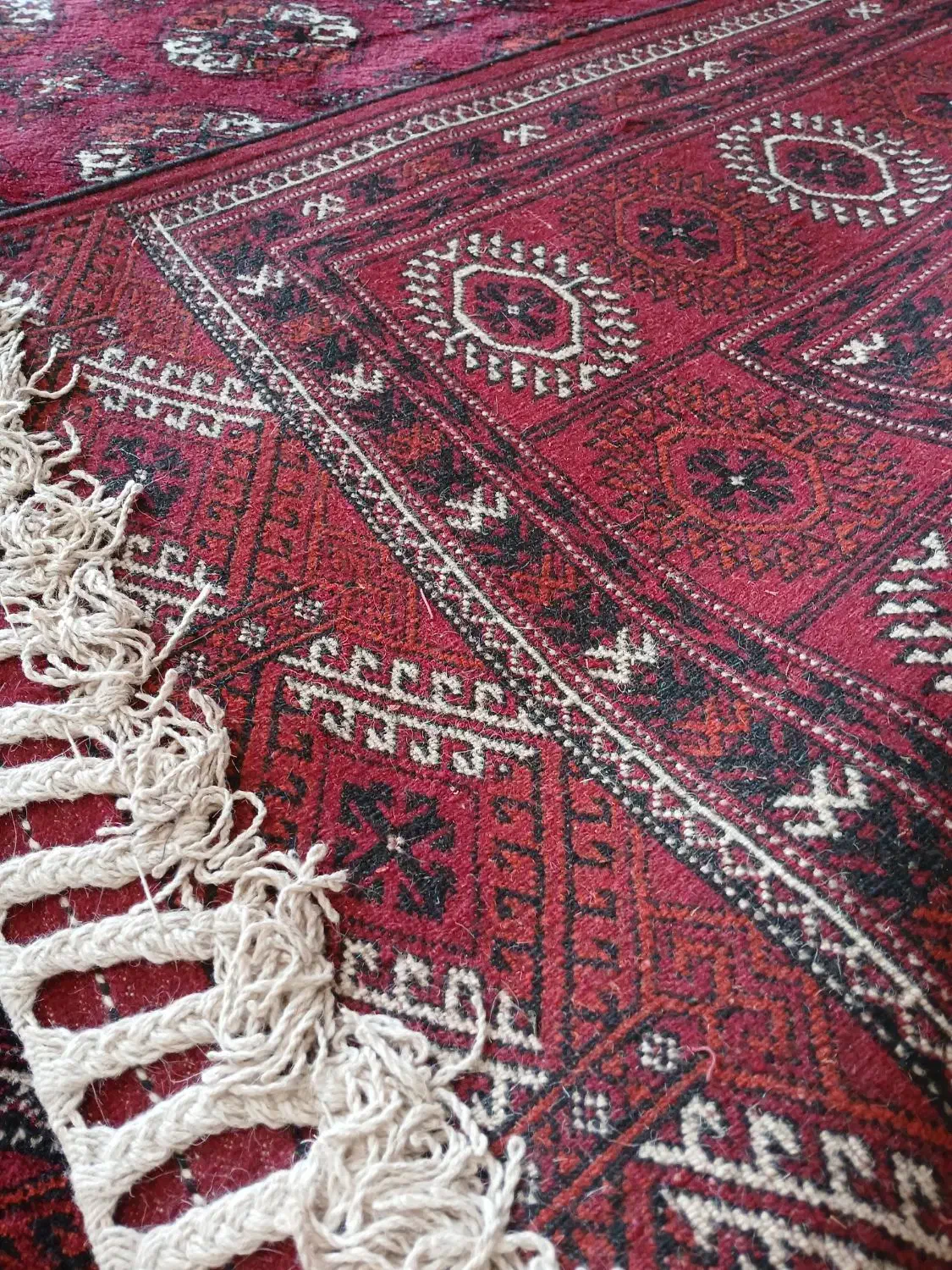 قالی ترکمنی اصیل دست باف|فرش|گنبد کاووس, |دیوار