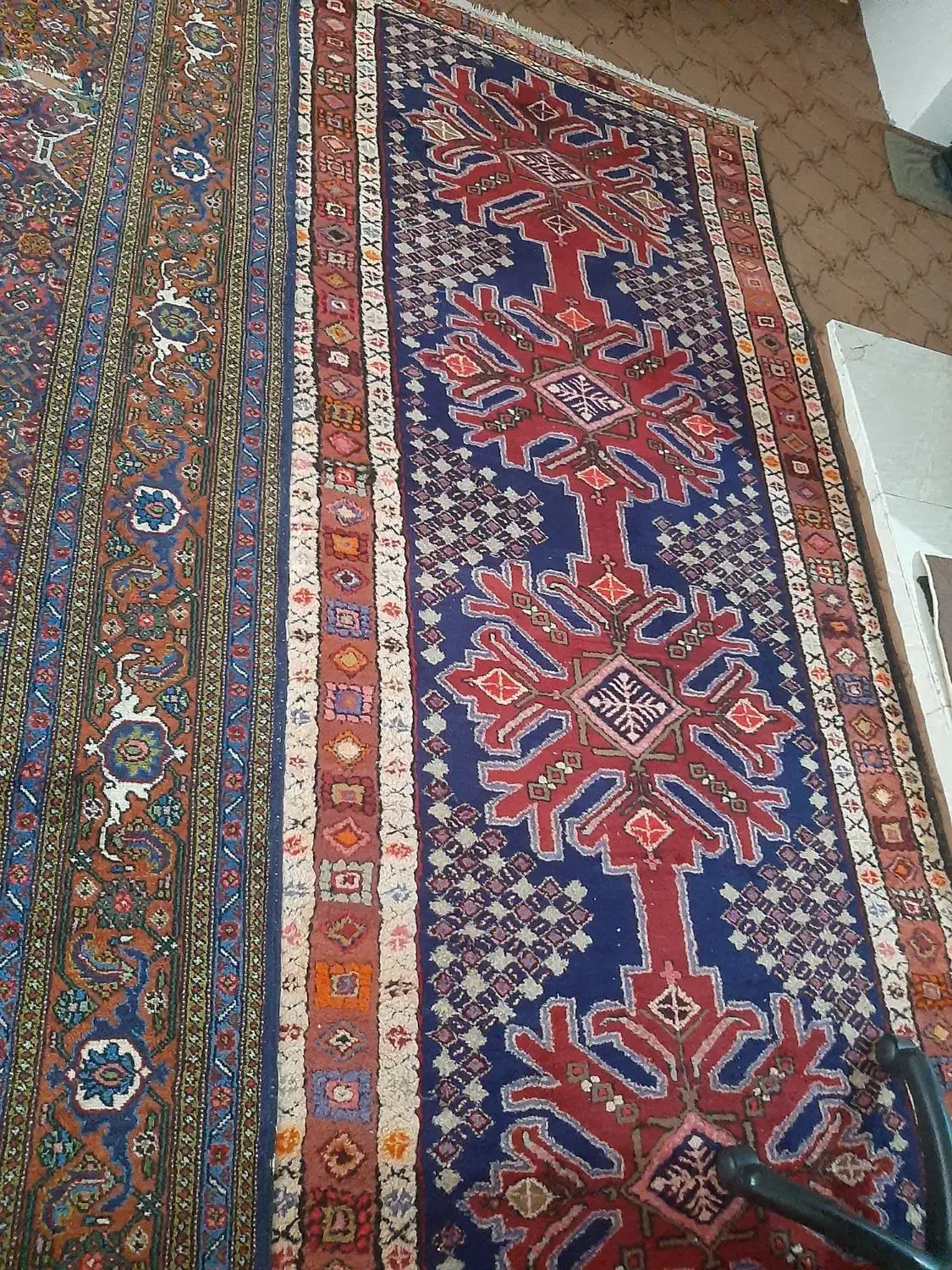 فرس دستباف|فرش|اردبیل, |دیوار