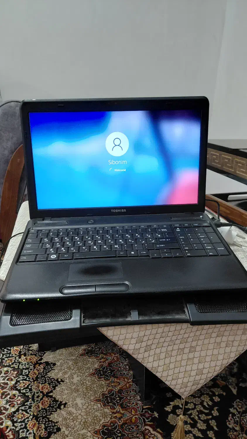 فروش لپ تاپ توشیبا|رایانه همراه|رشت, کاکتوس|دیوار