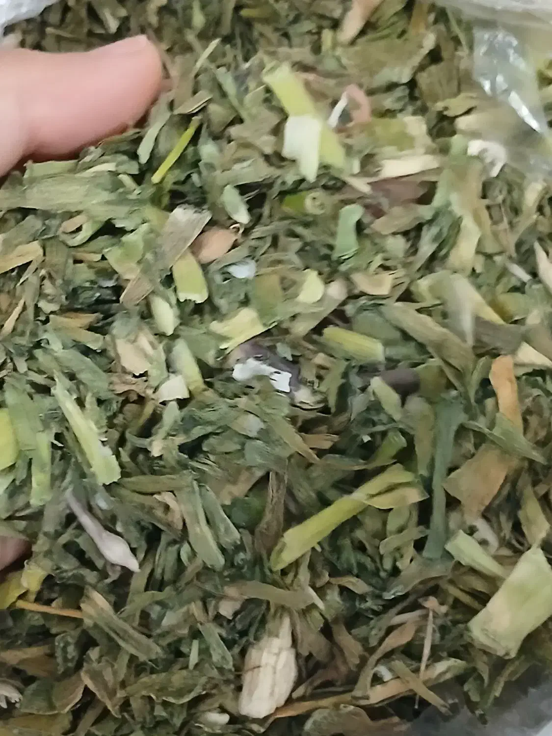 تره|خوردنی و آشامیدنی|مسجد سلیمان, |دیوار