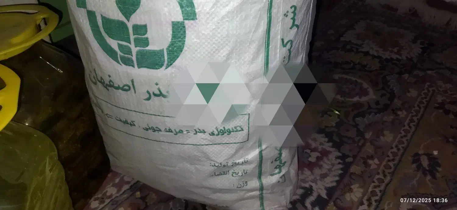 بذر یونجه بغدادی ، درجه یک|خدمات باغبانی و درختکاری|آبدان, |دیوار