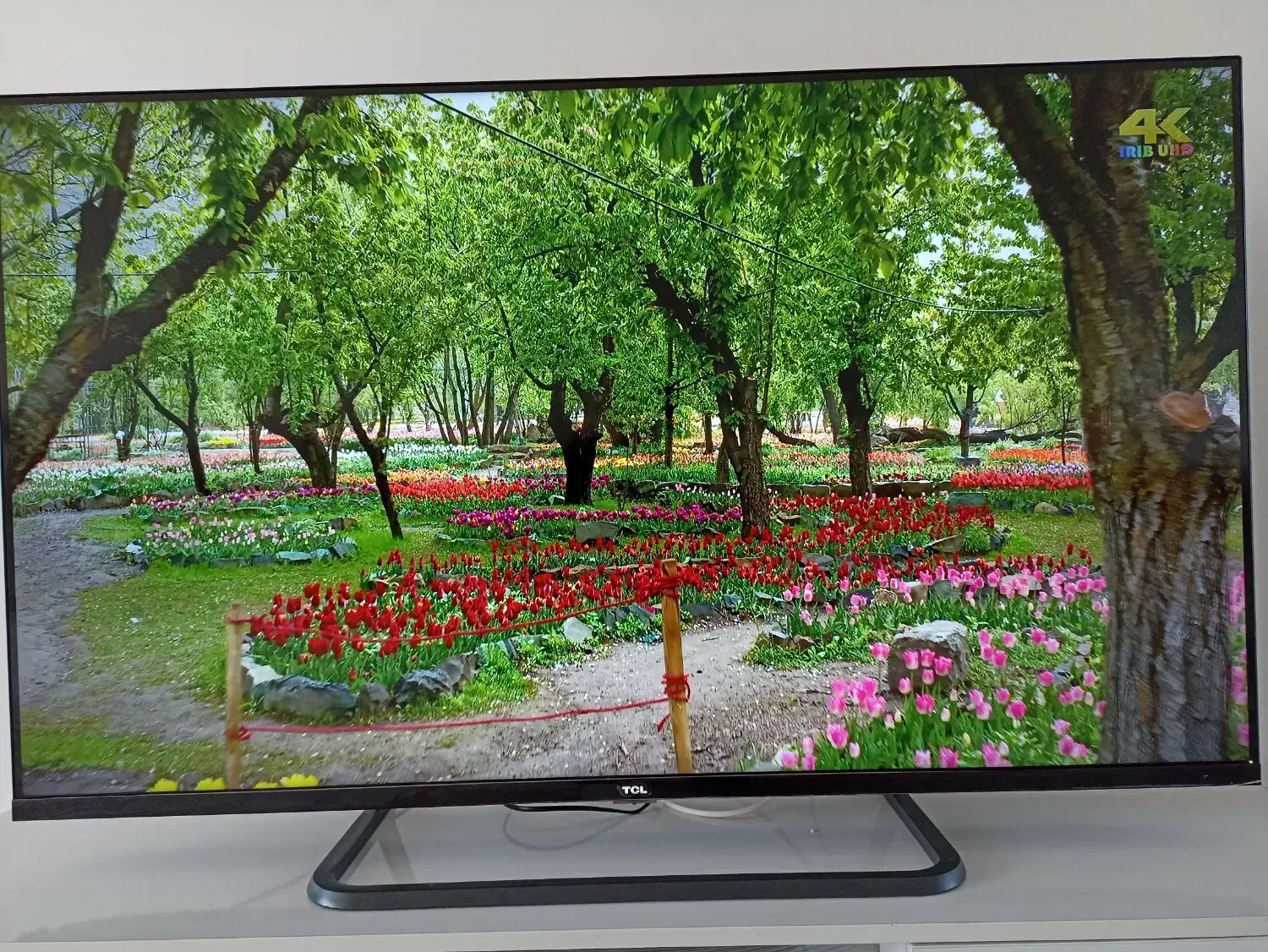 تلویزیون تی سی ال 4k|تلویزیون و پروژکتور|اشنویه, |دیوار