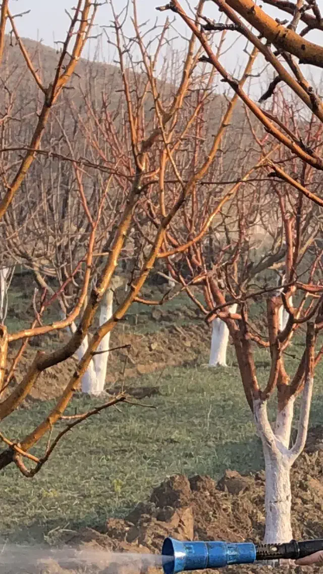 فروش زمین در آبگرم قزوین|فروش زمین و ملک کلنگی|آبگرم, |دیوار