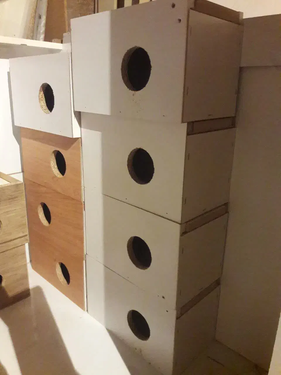 لانه ی عروس هلندی،طوطی|لوازم جانبی حیوانات|مراغه, |دیوار