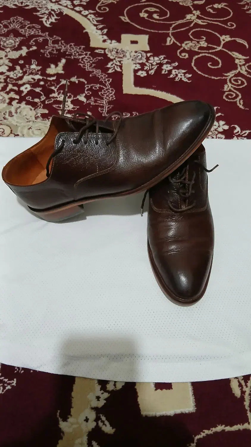 کفش مجلسی سایز۴۰|کیف، کفش، کمربند|قائمشهر, |دیوار