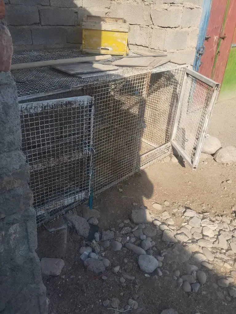 فنس بزرگ|لوازم جانبی حیوانات|ایرانشهر, |دیوار