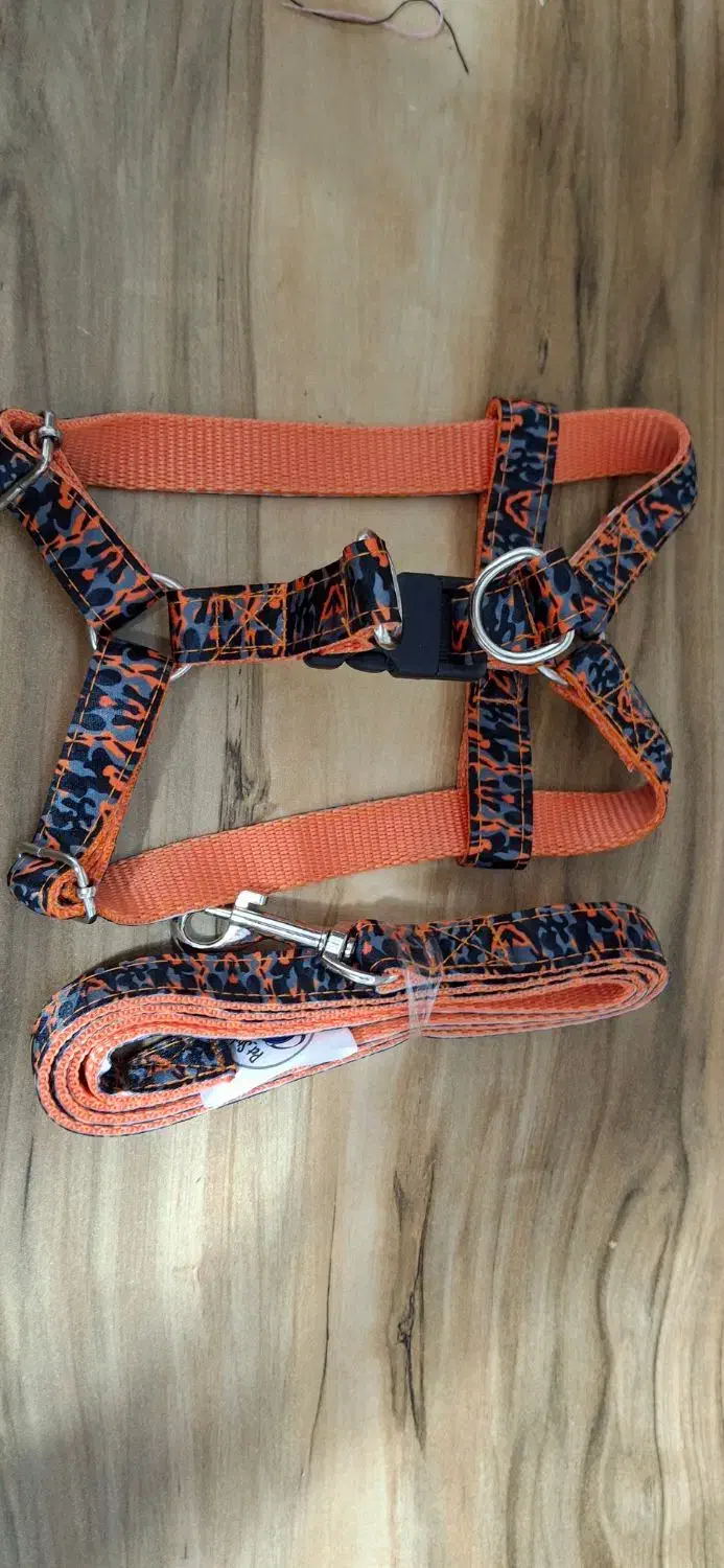 قلاده سگ و گربه|لوازم جانبی حیوانات|گرمدره, |دیوار