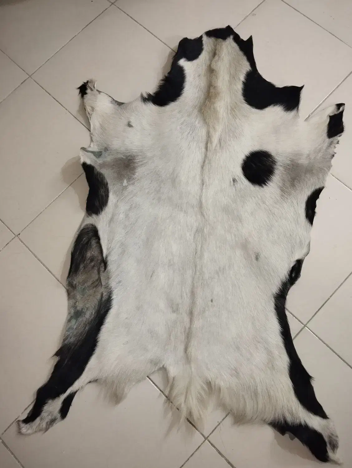 تابلو|تابلو، نقاشی، عکس|خمین, |دیوار