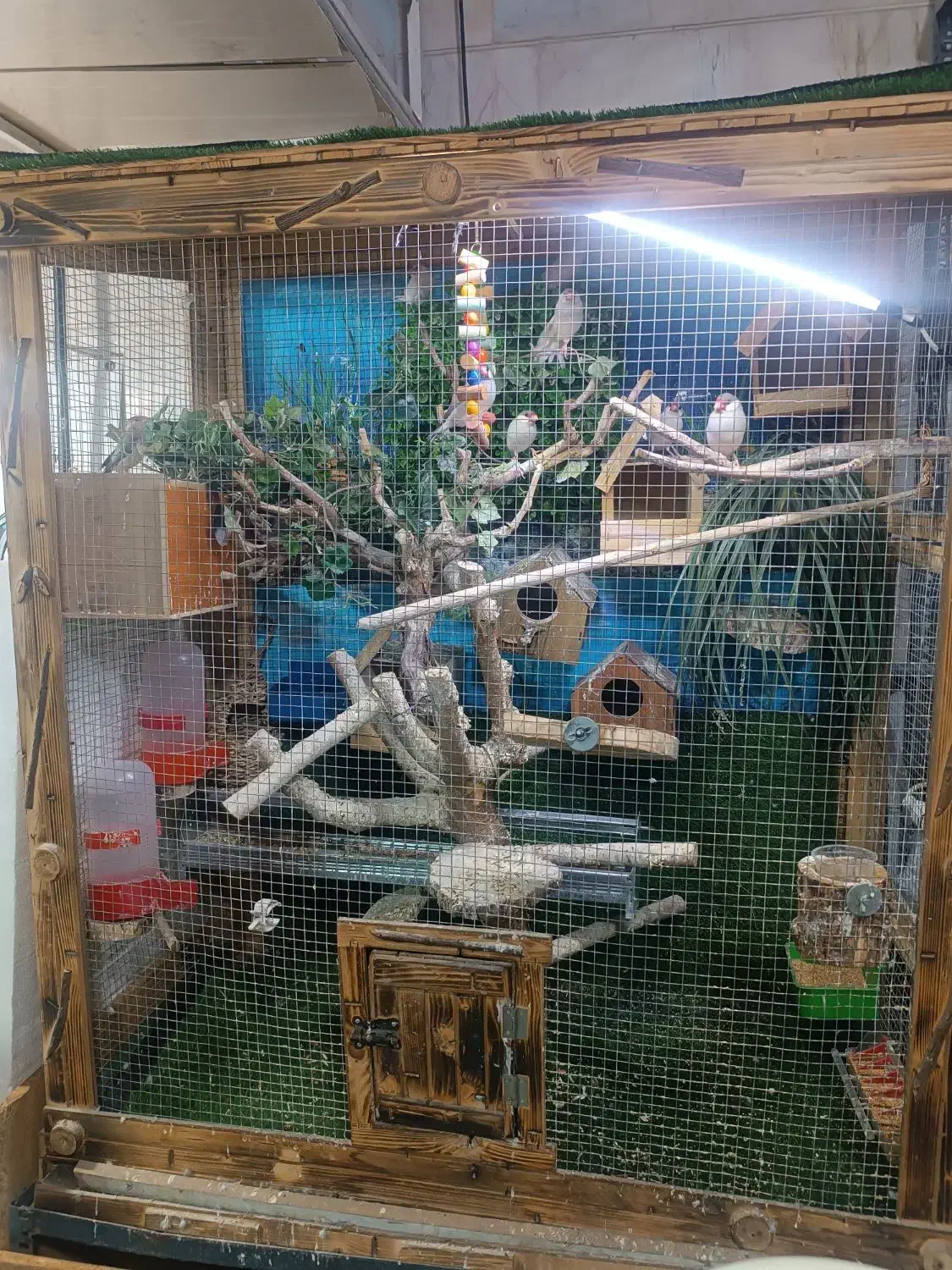 قفس پرنده چوبی|پرنده|تهران, یاخجی آباد|دیوار