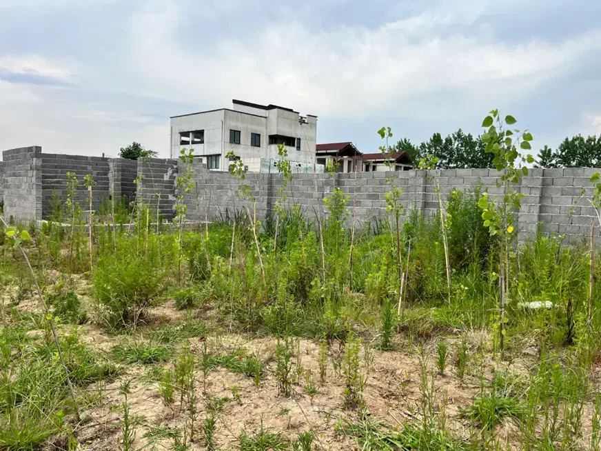 زمین گلسار آلمان|فروش زمین و ملک کلنگی|رشت, پستک|دیوار