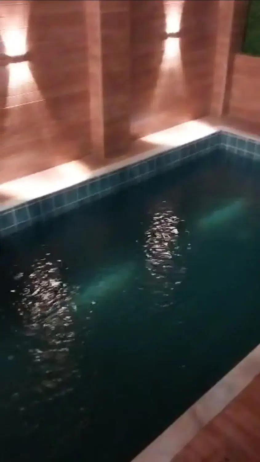 ویلا فروشی زیرآب منطقه ی بسیار خوش آب و هوا|فروش خانه و ویلا|زیرآب, |دیوار