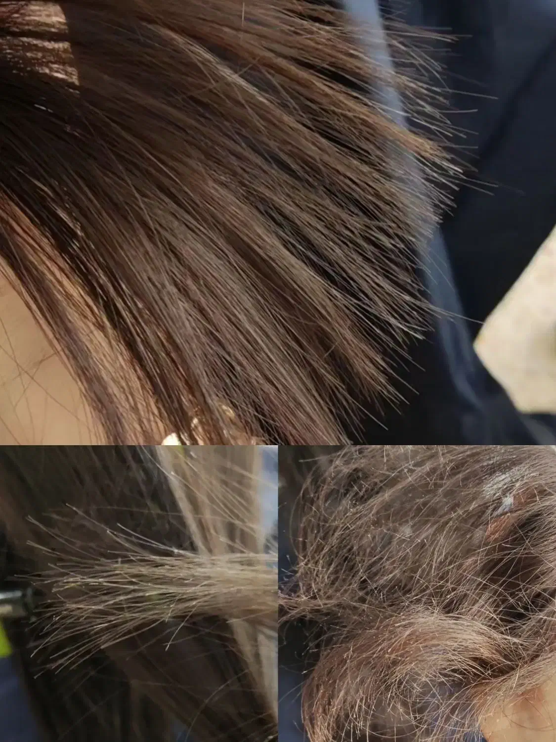 موخوره گیری به روش روسی تخفیف شب یلدا|خدمات آرایشگری و زیبایی|نجف‌آباد, بازار|دیوار