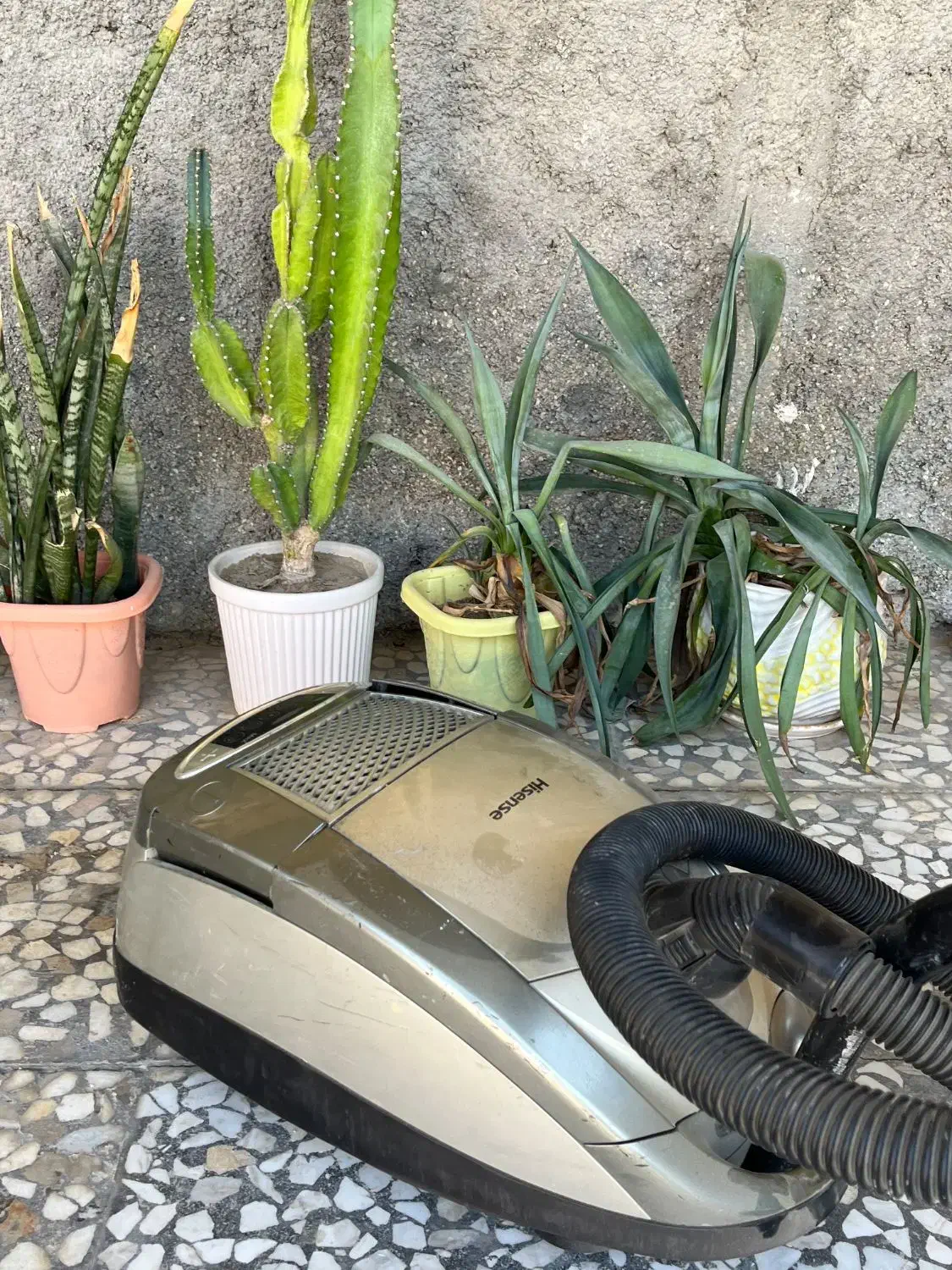 جاروبرقی هایسنس|جاروبرقی، جارو شارژی، بخارشو|اهرم, |دیوار