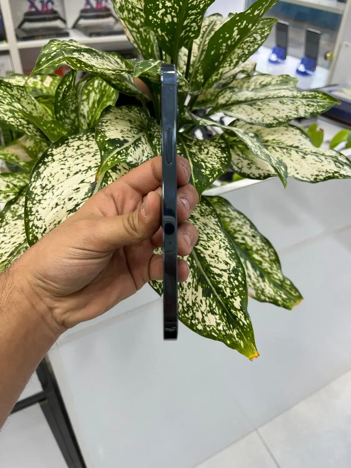 12pro|موبایل|بوشهر, |دیوار