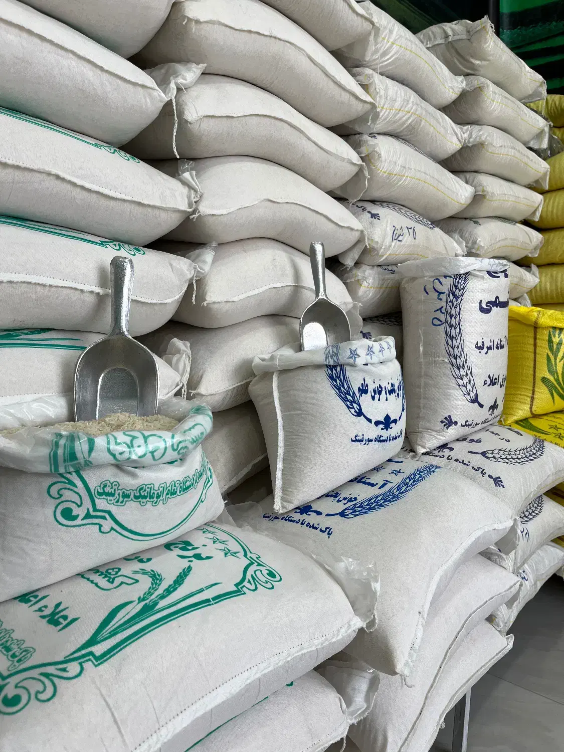 انواعِ برنجِ ایرانی(شمال)|خوردنی و آشامیدنی|رودان, |دیوار