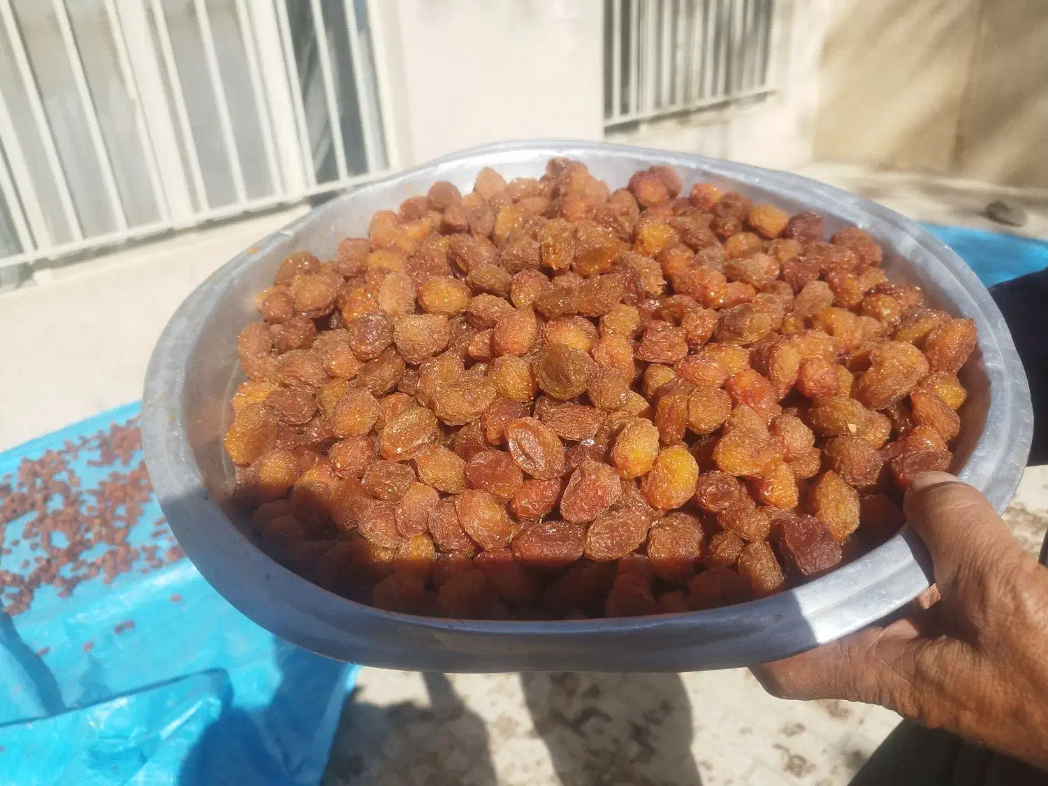 آلو بخارا طبیعی بوانات|خوردنی و آشامیدنی|شیراز, نصر|دیوار