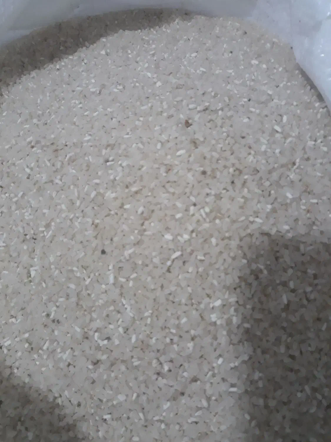 لاشه فجردسوزنی|خوردنی و آشامیدنی|تاتار علیا, |دیوار